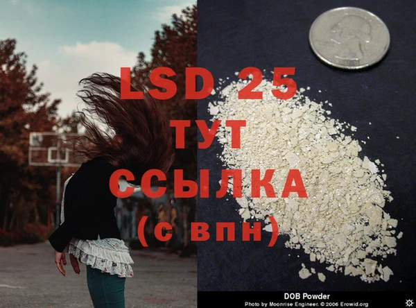 spice Балахна