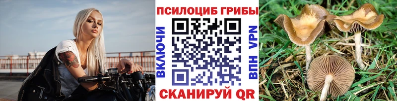 Галлюциногенные грибы Magic Shrooms  наркошоп  Кириши 